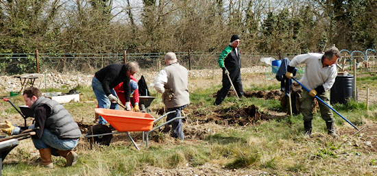 Committee at work