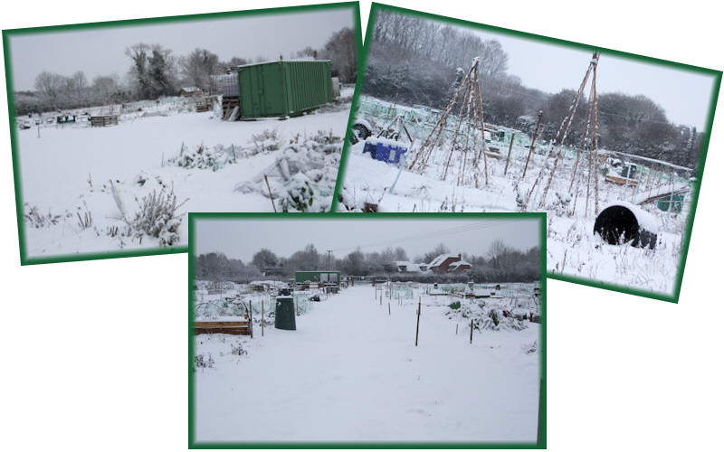 Snowy December